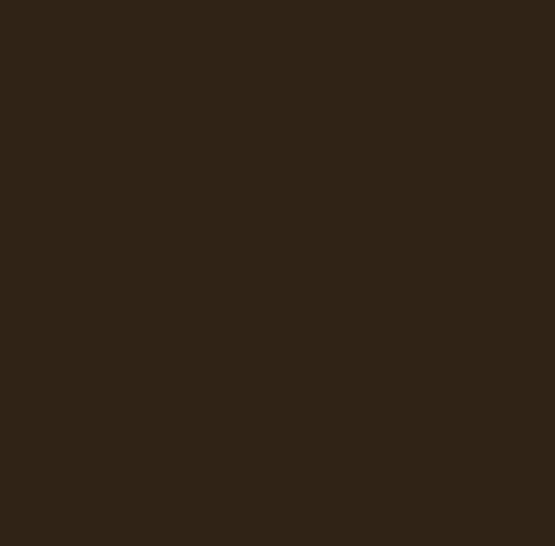Vivienda Vistalba — material y color del proyecto